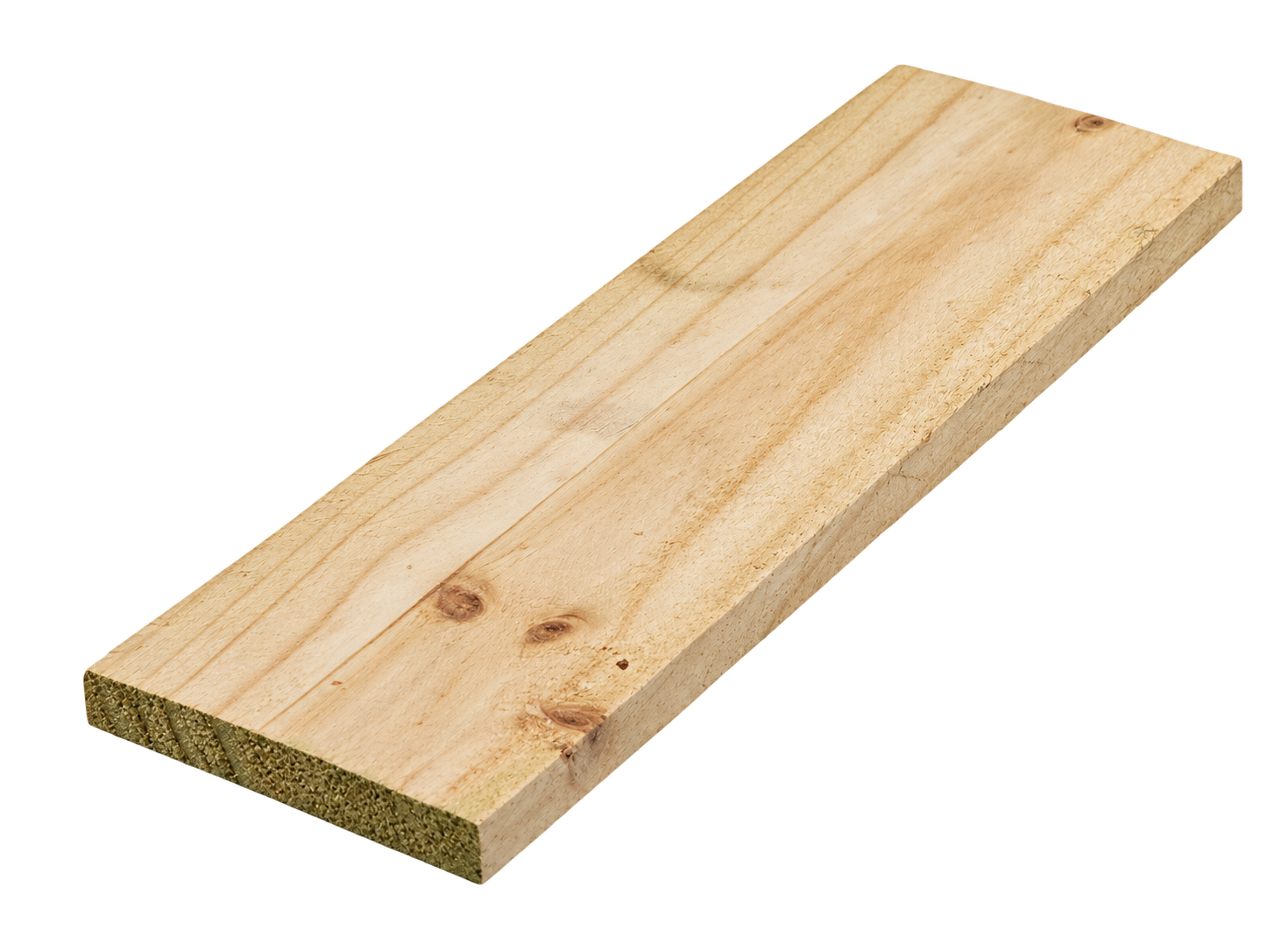 Treated Pine Paling 100x16x2400