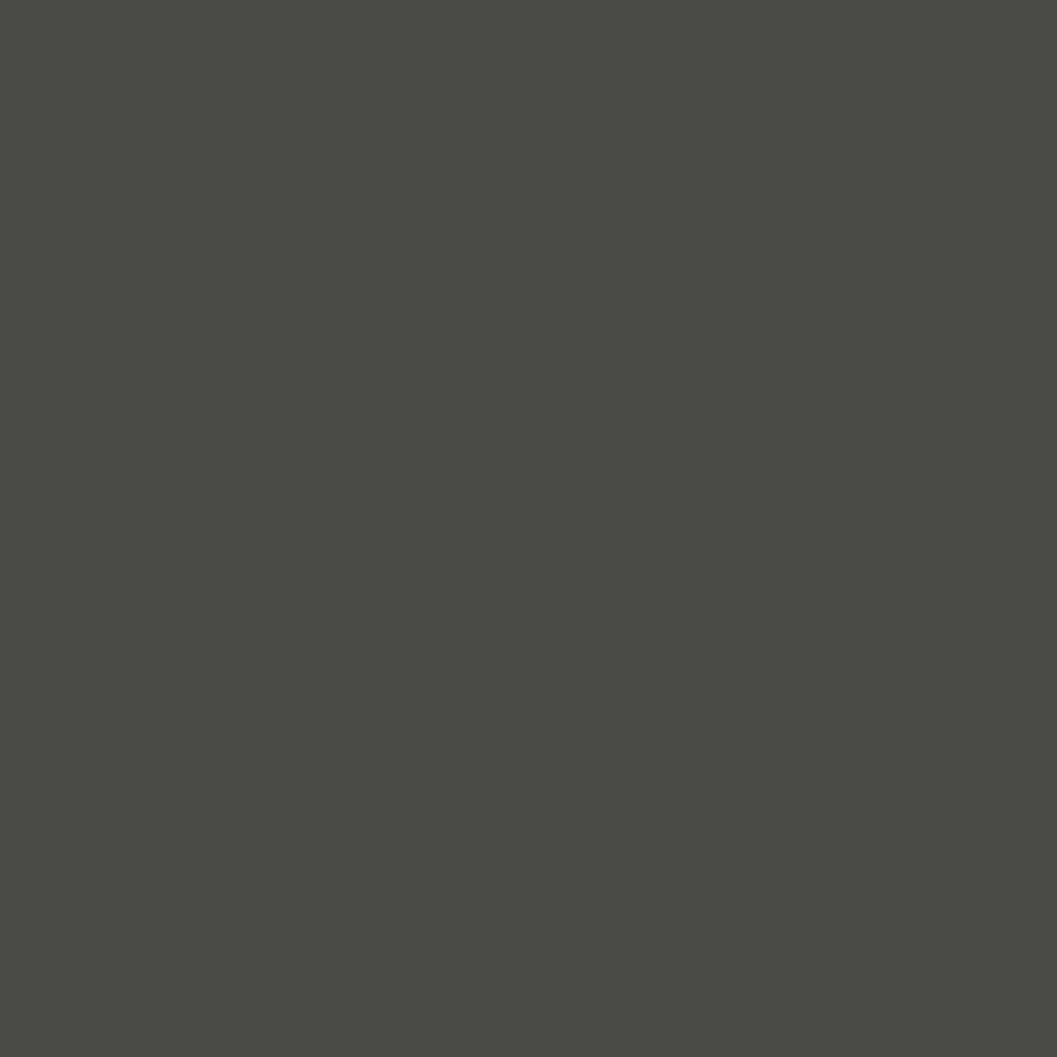 Touch Up Paint Slate Grey/Woodland Grey