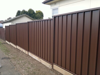 ColorBond Fencing main image