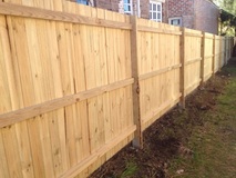 Treated Pine Fencing main image