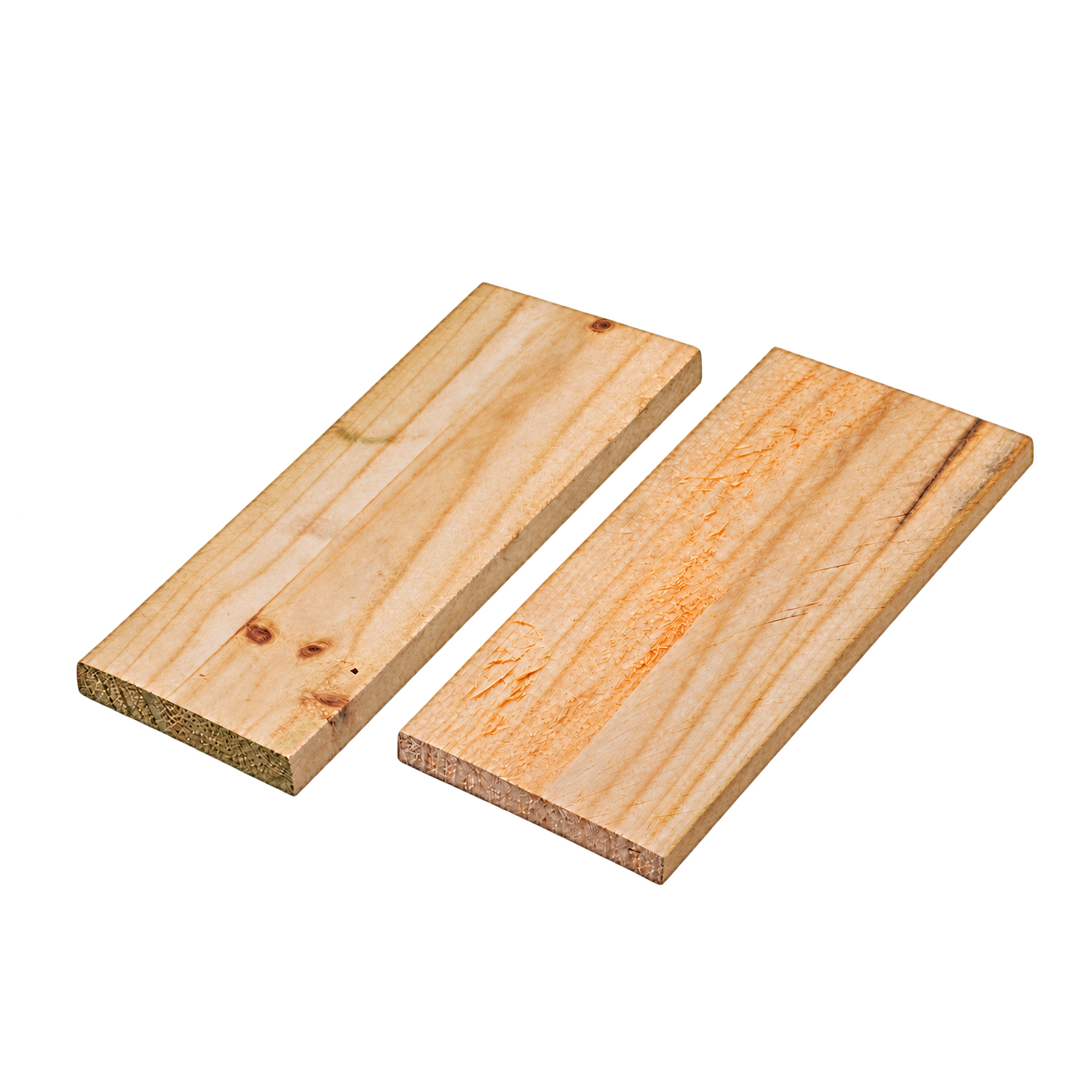 Palings main image